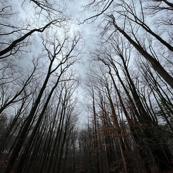 Meet Your Posher, Liz - Picture 4 of 8